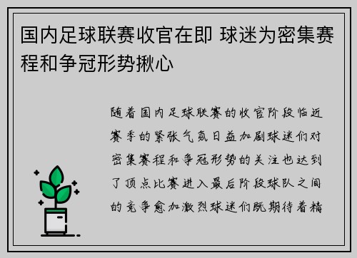 国内足球联赛收官在即 球迷为密集赛程和争冠形势揪心